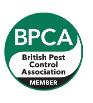 pest control essex